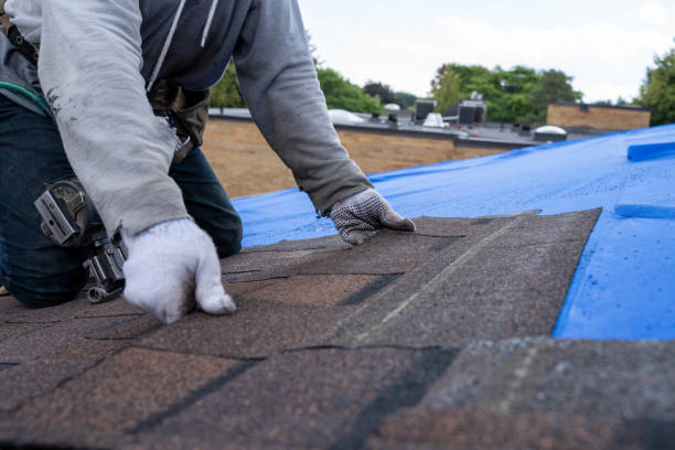 Best Roof Installation Near Me  in Flora, MS